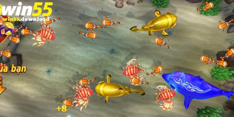 Các bước đơn giản để bắt đầu bắn cá Win55 